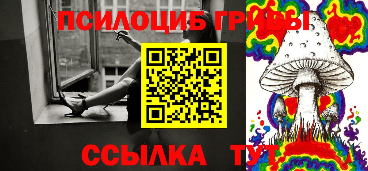 магазин    Коломна  Галлюциногенные грибы Psilocybine cubensis 