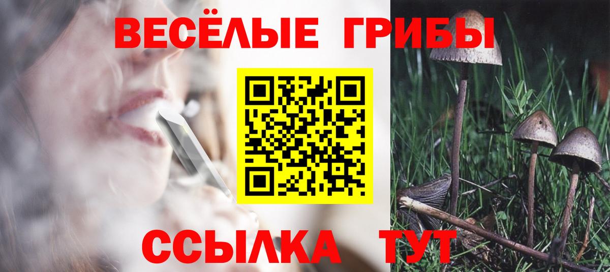 Псилоцибиновые грибы мицелий Коломна